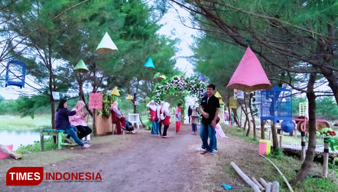 Cemara Jajar Beach: The Hidden Paradise on South Ring Road