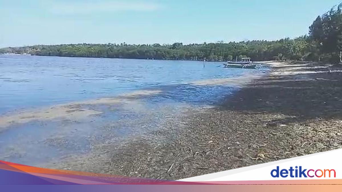 Cemara Jajar Beach: The Hidden Gem of Cilacap's Southern Coast